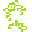 77p77
