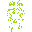anura