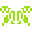 brain