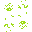 p54piheptominohassler